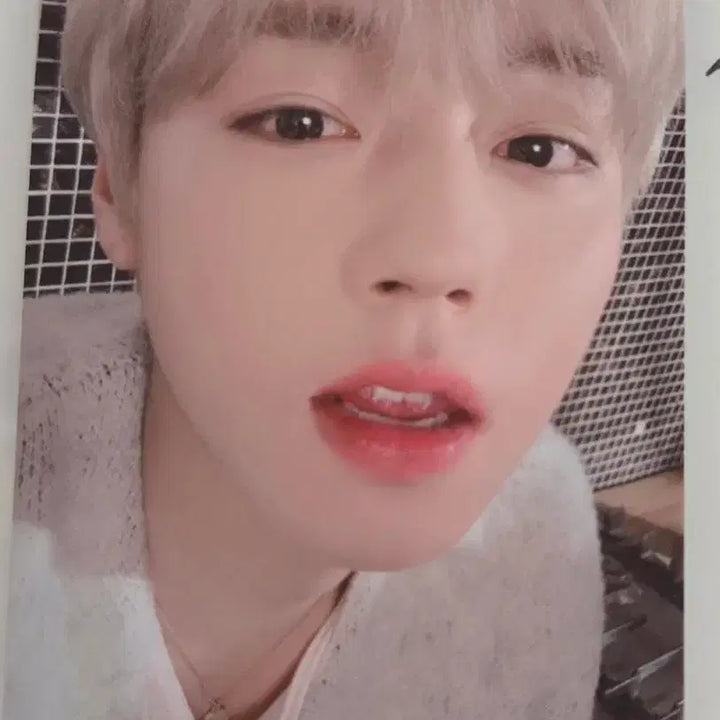 [BUNJANG] Park Jihoon 2020 Season&