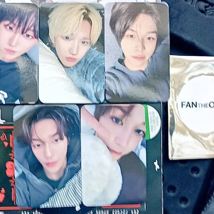[BUNJANG] KEYVITUP Panda Won Photocard Set / KEYVITUP 키빗업 팬더원 포카 세트