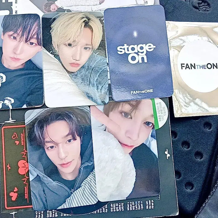 [BUNJANG] KEYVITUP Panda Won Photocard Set / KEYVITUP 키빗업 팬더원 포카 세트