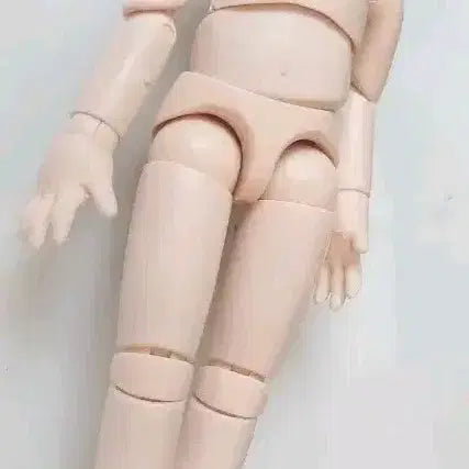 [SOLD OUT] 오비츠 11 바디 신장 연장+ 목파츠