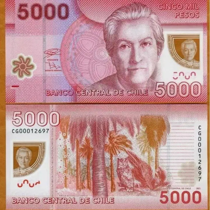 [BUNJANG] Chile 2012 5000 Pesos Polymer Uncirculated Banknote / 칠레 2012 5000페소 폴리머 미사용