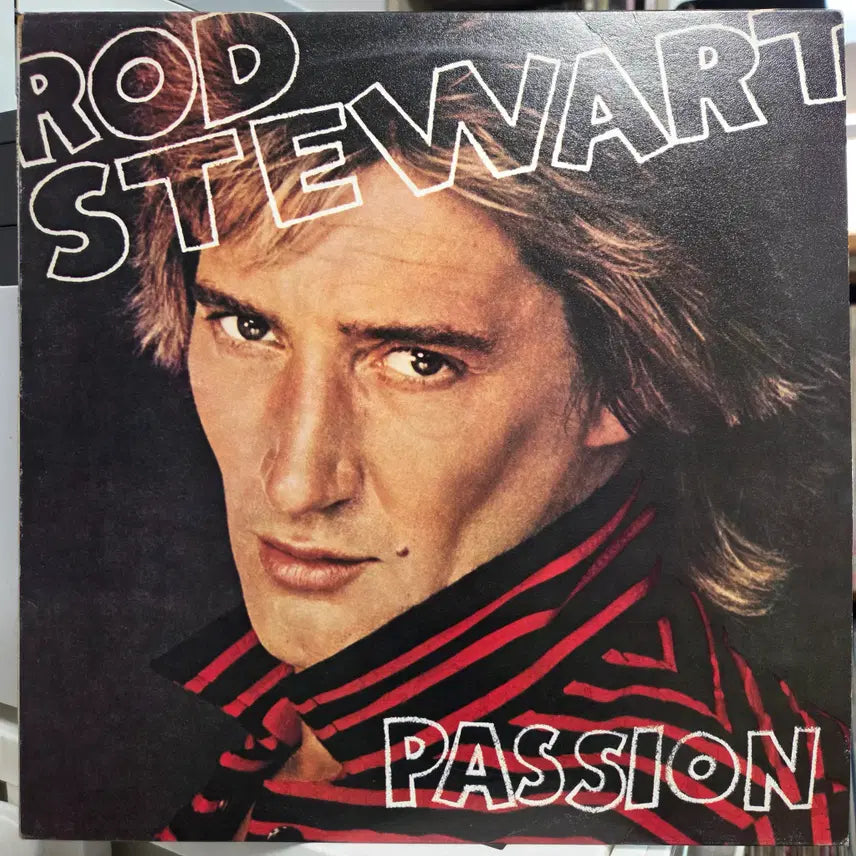 [BUNJANG] Rod Stewart Passion Vinyl Record / ROD STEWART (PASSION)