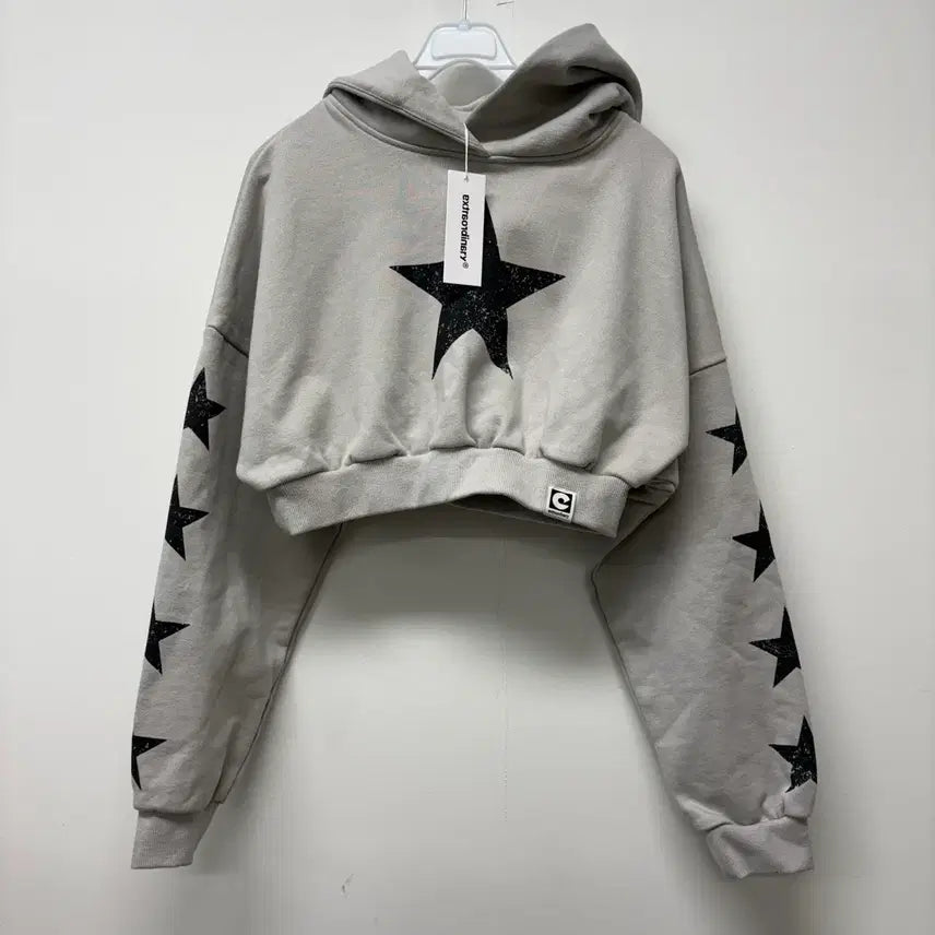 [BUNJANG] Extraordinary Crop Hoodie / 새상품 엑스트라오디너리 크롭 후드티