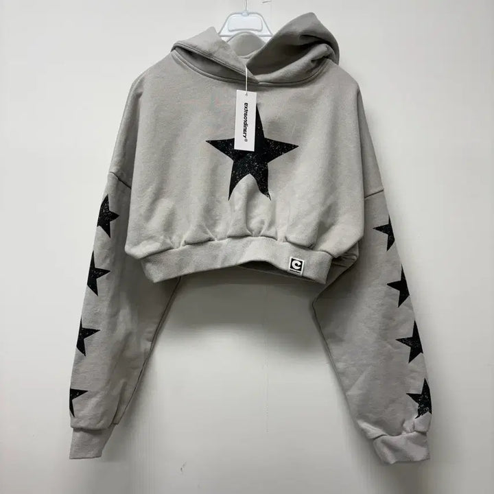 [BUNJANG] Extraordinary Crop Hoodie / 새상품 엑스트라오디너리 크롭 후드티