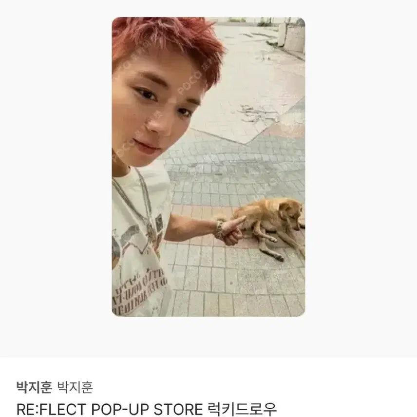 [BUNJANG] Park Ji Hoon Reflect Popup Lucky Draw Photocard / 박지훈 리플렉트 팝업 럭드 포카 양도