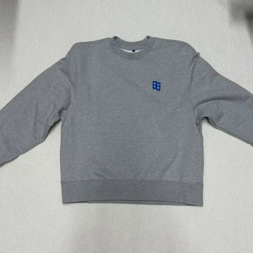 [BUNJANG] ADER Error Sweatshirt / 아더에러스웻셔츠