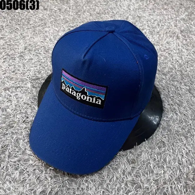 [SOLD OUT] 파타고니아 볼캡 모자