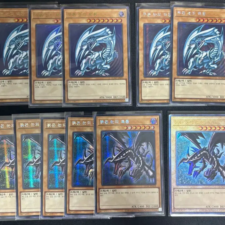 [BUNJANG] Yu-Gi-Oh! Pride Blue-Eyes White Dragon &amp; Red-Eyes Black Dragon / 유희왕 프라이드 백룡. 흑룡 일괄판매