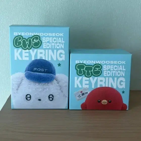 [SOLD OUT] 변우석 BWS/TTE 키링 스페셜 에디션 + HBD BWS 프롭세트
