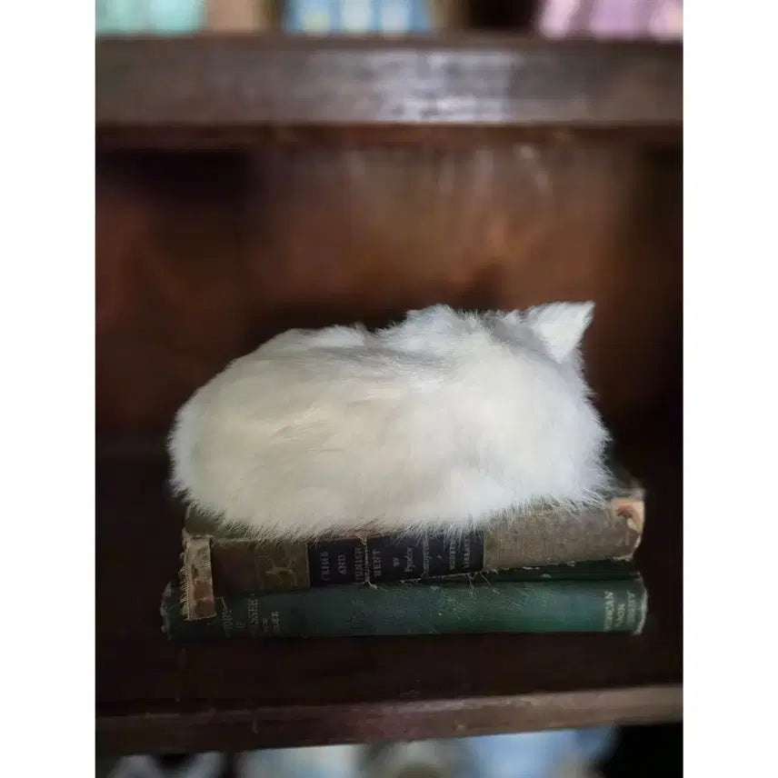 [BUNJANG] Vintage White Cat Plush / 빈티지 하얀 고양이 인형
