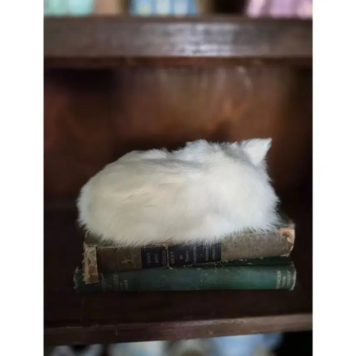 [BUNJANG] Vintage White Cat Plush / 빈티지 하얀 고양이 인형