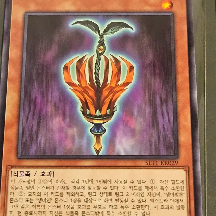 [BUNJANG] Yu-Gi-Oh! Holy Nights Belphegor, Sins Shadow / 유희왕 홀리나이츠 벨파이어, 생시드 섀도우