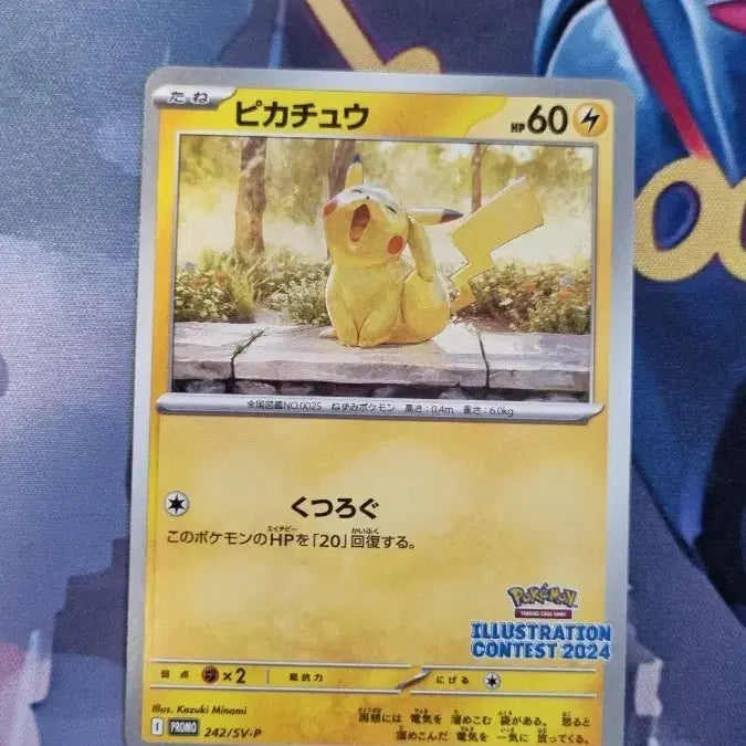 [BUNJANG] Pokemon Card Japanese Set - Komala Promo / 포켓몬카드 일판 하품츄 프로모 판매합니다