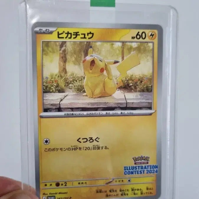 [BUNJANG] Pokemon Card Japanese Set - Komala Promo / 포켓몬카드 일판 하품츄 프로모 판매합니다