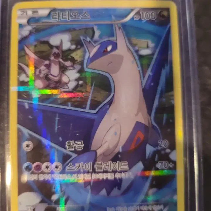 [BUNJANG] Rare Pokémon Cards / 희귀 포켓몬