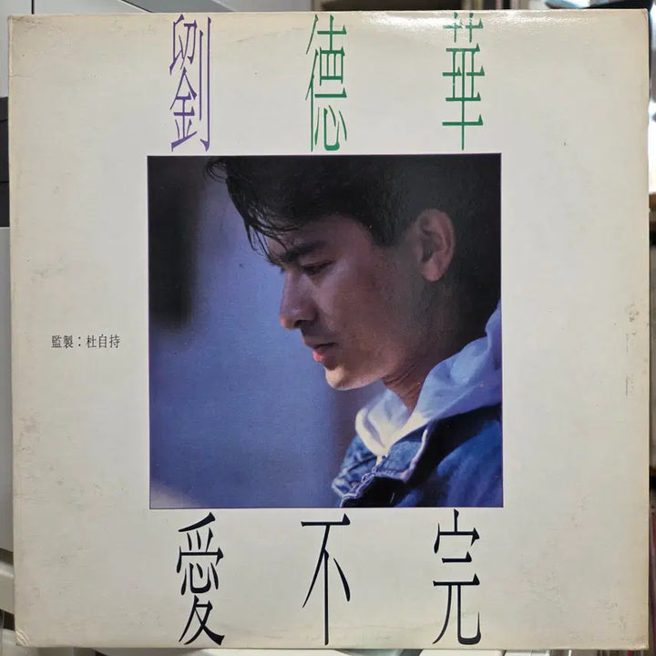 [BUNJANG] Andy Lau Enduring Love Vinyl Record / 유덕화  끝없는 사랑