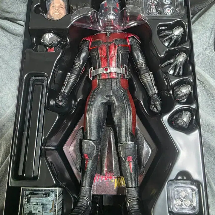 [BUNJANG] Hot Toys Ant-Man 1/6 Scale Figure MMS497 / 핫토이 앤트맨 1/6 피규어 MMS497