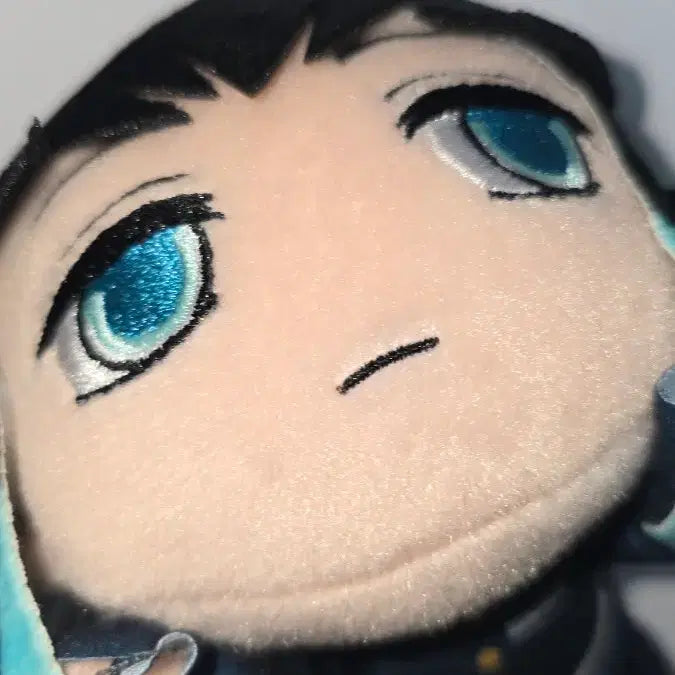[BUNJANG] Demon Slayer Muichiro Tokito Plush / 귀멸의 칼날 토키토 무이치로 인형