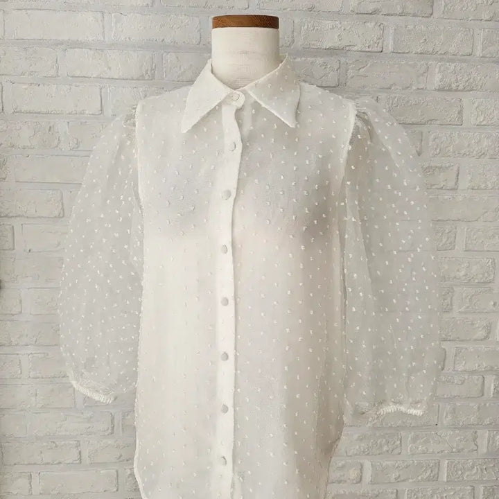 [BUNJANG] ZARA Dot Mesh Blouse / 자라 도트망사 블라우스