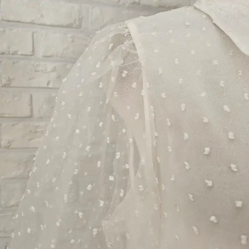 [BUNJANG] ZARA Dot Mesh Blouse / 자라 도트망사 블라우스