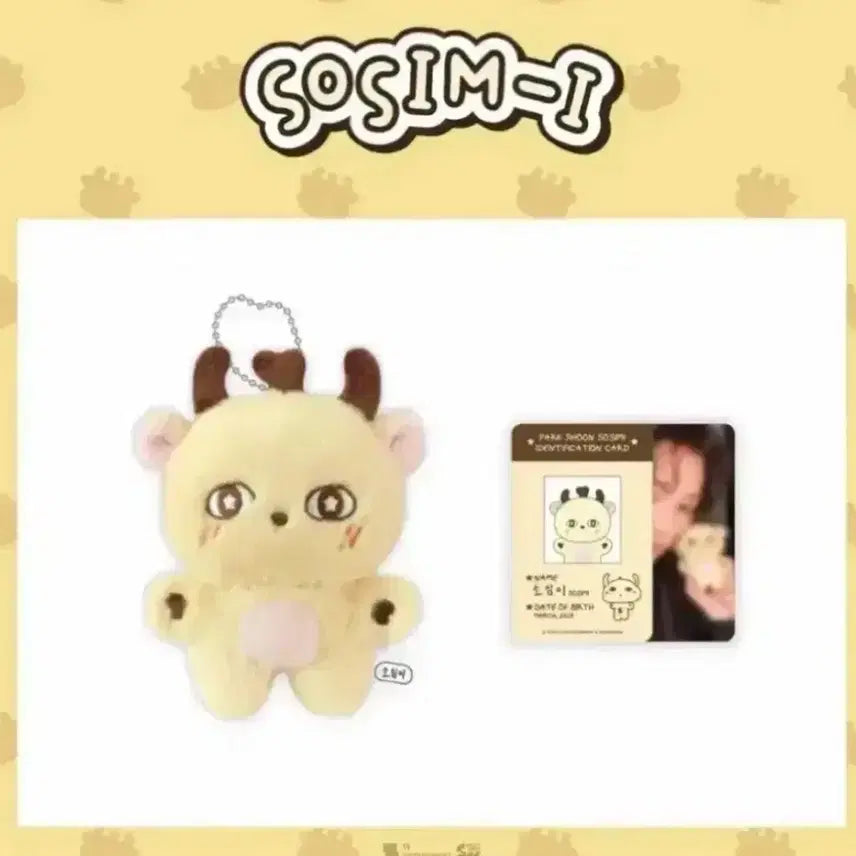 [BUNJANG] Park Jihoon Sosim-i Bundle Set with Photocard / 5월말배송) 박지훈 소심이 양도(+포카포함)