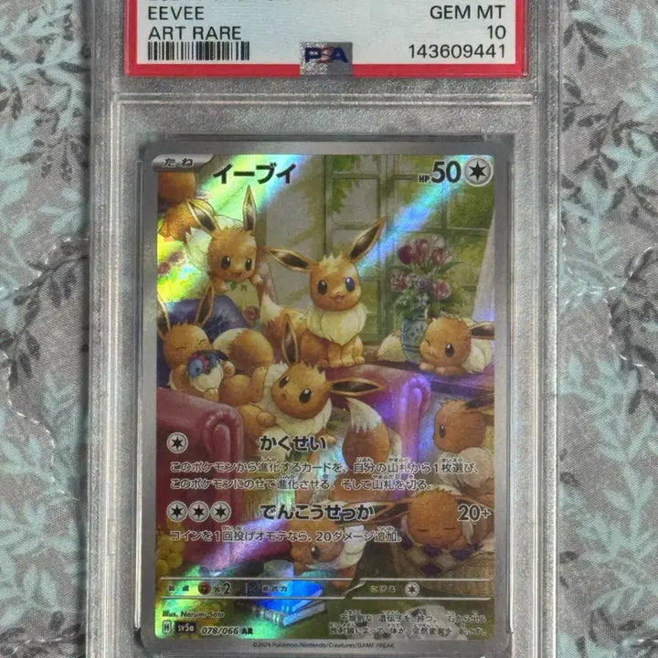 [BUNJANG] Pokemon Card Eevee Japanese AR PSA 10 / 포켓몬카드 이브이 일판 ar psa10