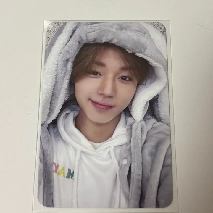 [BUNJANG] Park Ji Hoon Mamute Photocard / (11일까지만 이 가격) 박지훈 마뮤테 포카