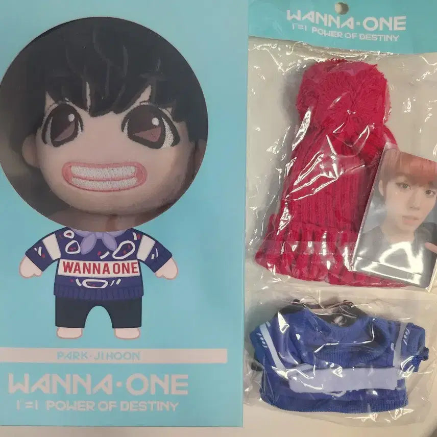 [BUNJANG] Park Jihoon Wanna One Official Doll Full Set / 박지훈 워너원 공식인형 풀박스