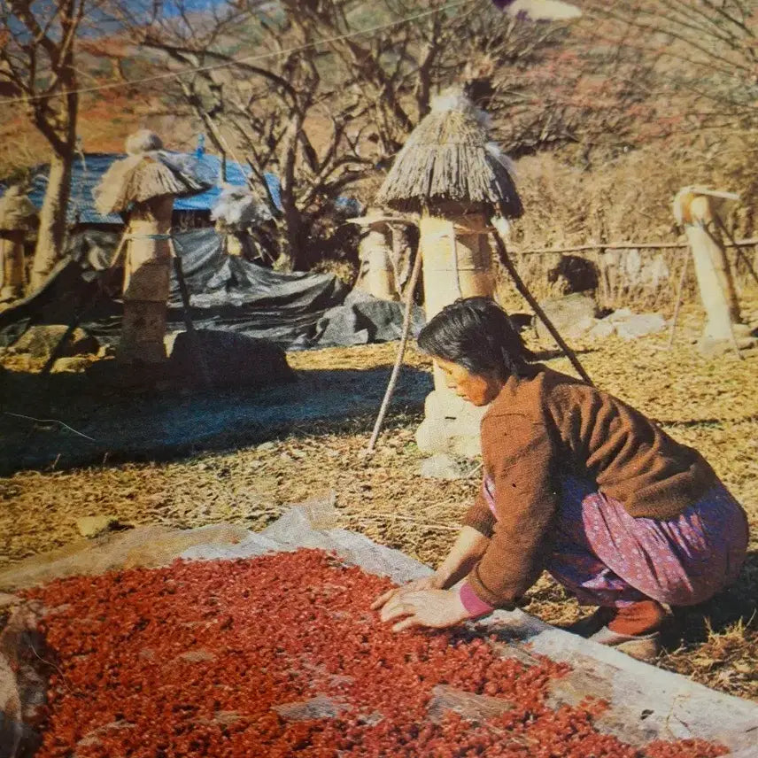 [BUNJANG] Antique Korean Modern History Material Vol. 1 / 옛날 근대사 자료 1권