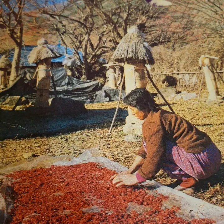 [BUNJANG] Antique Korean Modern History Material Vol. 1 / 옛날 근대사 자료 1권