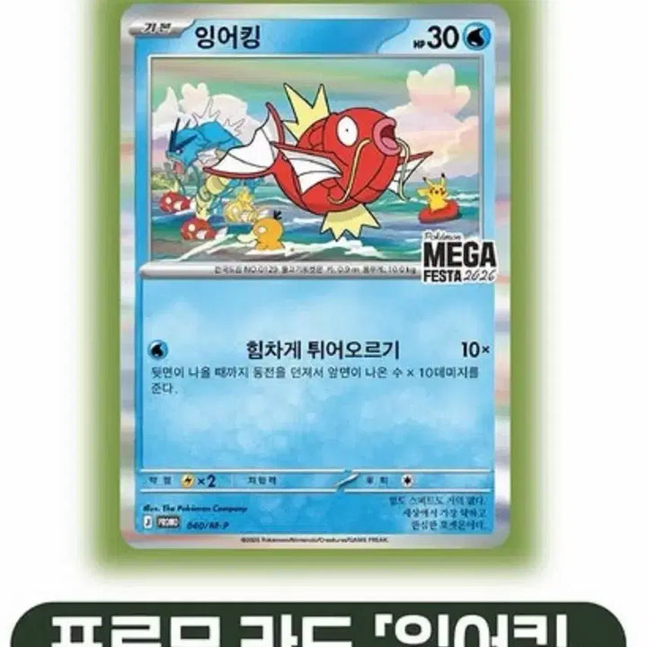 [BUNJANG] Gyarados Magikarp Festa Promo / 포켓몬 잉어킹 프로모