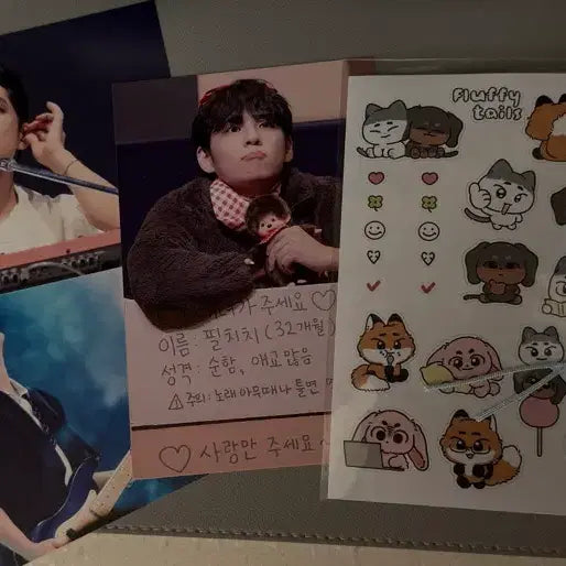 [BUNJANG] Day6 Young K Season&