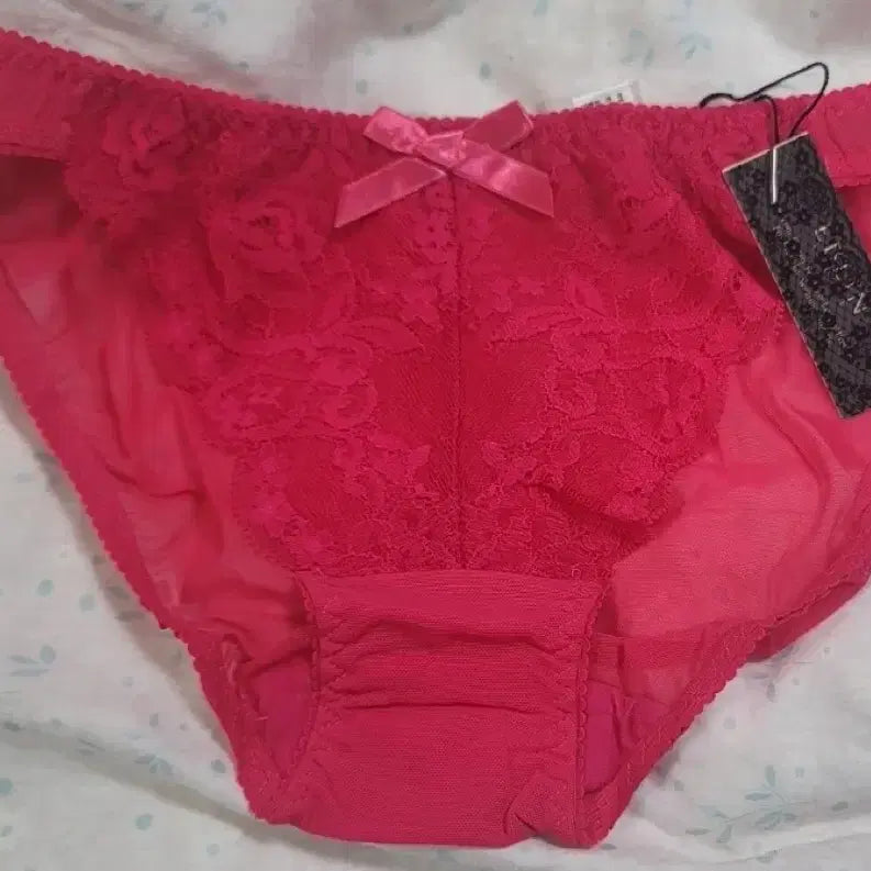 [BUNJANG] Eblin 90 Triangle Mesh Panty (Sealed) / 섹시한 (여성속옷) 에블린90 삼각망사팬티 미개봉