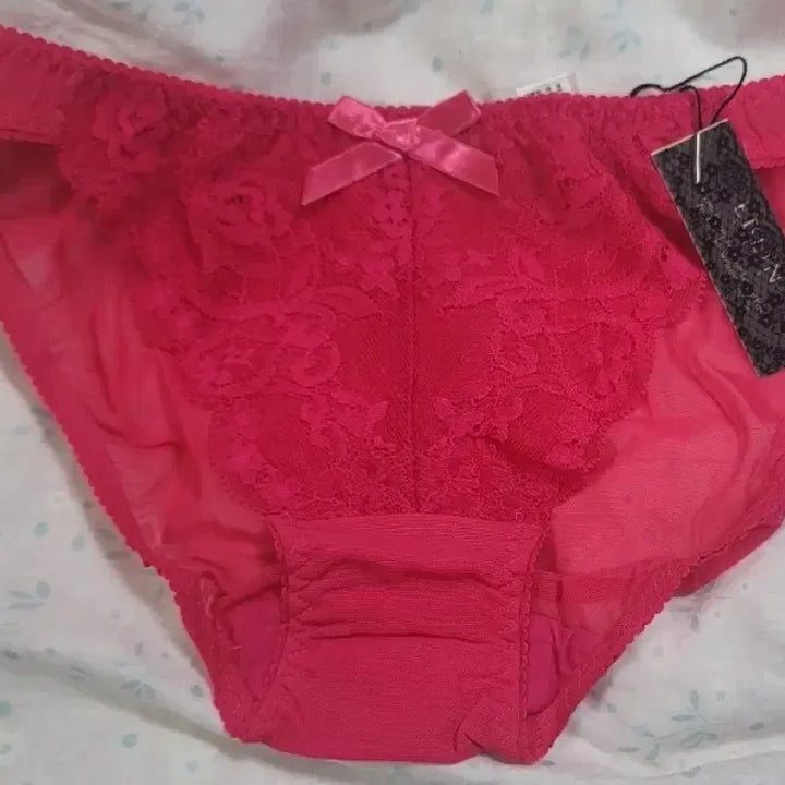 [BUNJANG] Eblin 90 Triangle Mesh Panty (Sealed) / 섹시한 (여성속옷) 에블린90 삼각망사팬티 미개봉