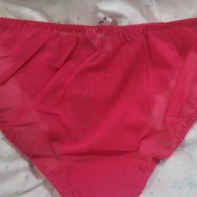 [BUNJANG] Eblin 90 Triangle Mesh Panty (Sealed) / 섹시한 (여성속옷) 에블린90 삼각망사팬티 미개봉