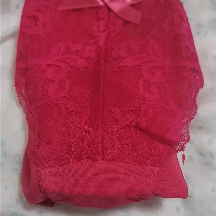 [BUNJANG] Eblin 90 Triangle Mesh Panty (Sealed) / 섹시한 (여성속옷) 에블린90 삼각망사팬티 미개봉