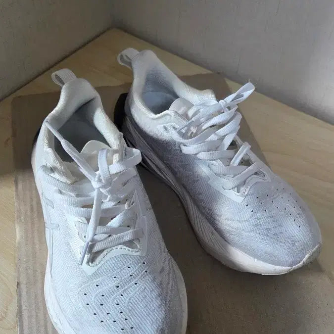 [BUNJANG] ASICS NovaBlast 4 Running Shoes / 아식스 노바블라스트4