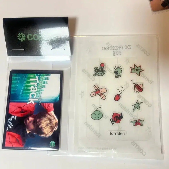 [BUNJANG] Cortis Greengreen Party Photocard Holder / 코르티스 그린그린 파티 역조공