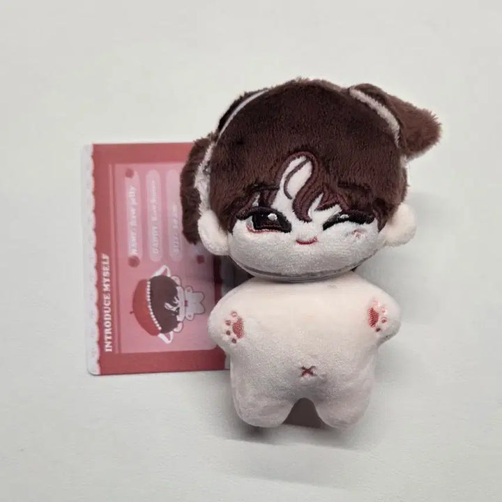 [SOLD OUT] 엔하이픈 선우 인형