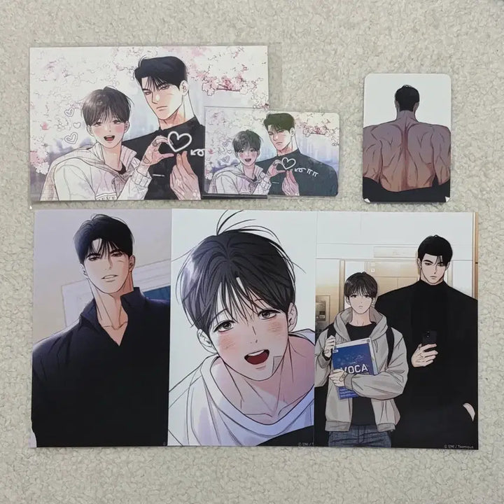 [BUNJANG] Ilgan Alba Postcard Bundle Set / 일간알바 투니크 특전엽서 방포 프박 일괄양도