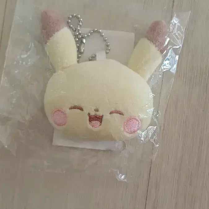 [BUNJANG] Pokemon Pokeball Chain Plush Doll / 포켓몬 볼체인 페이스 봉제인형 팔아요