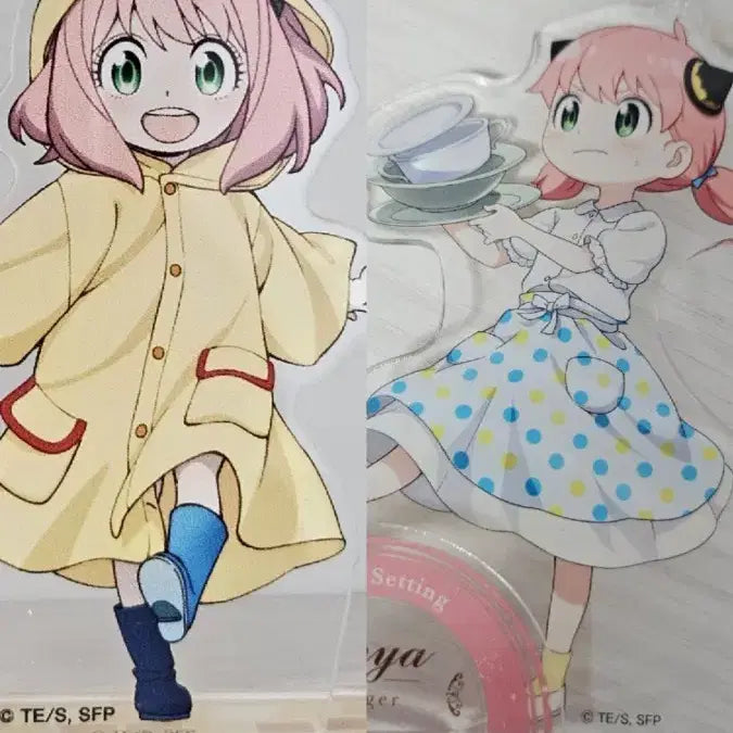 [BUNJANG] Anya Acrylic Stand Set / 배포) 아냐 아크릴 세트