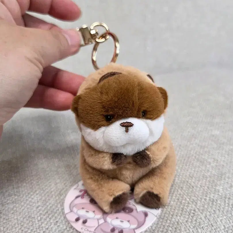 [BUNJANG] Woosoo Woosoo Jang Otter Keychain / 속았지 우소우소짱 키링 새상품