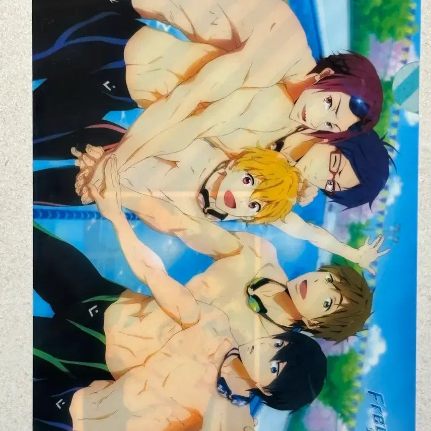 [BUNJANG] Free! Clear File / 프리 free! 클리어파일