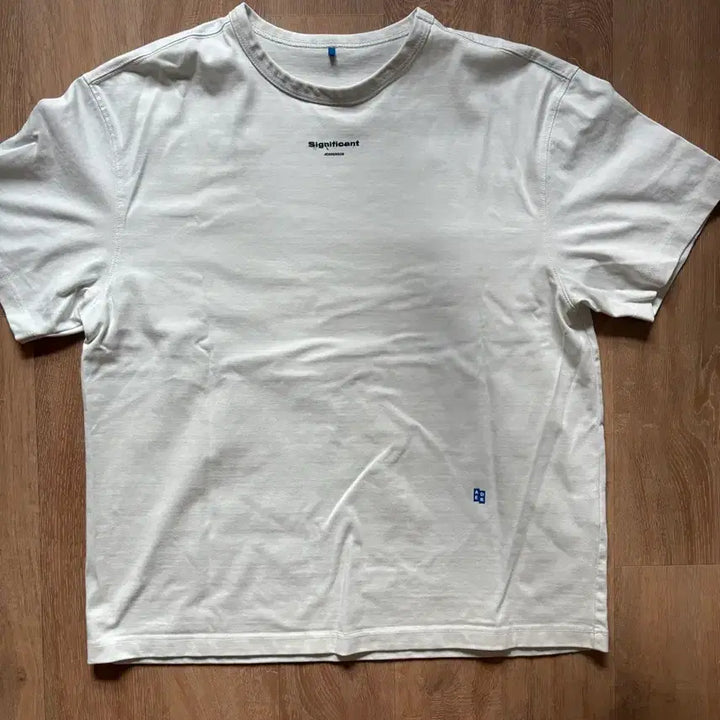 [BUNJANG] Ader Error Significant Limited T-Shirt / 아더에러 시그니피컨트 한정 티셔츠