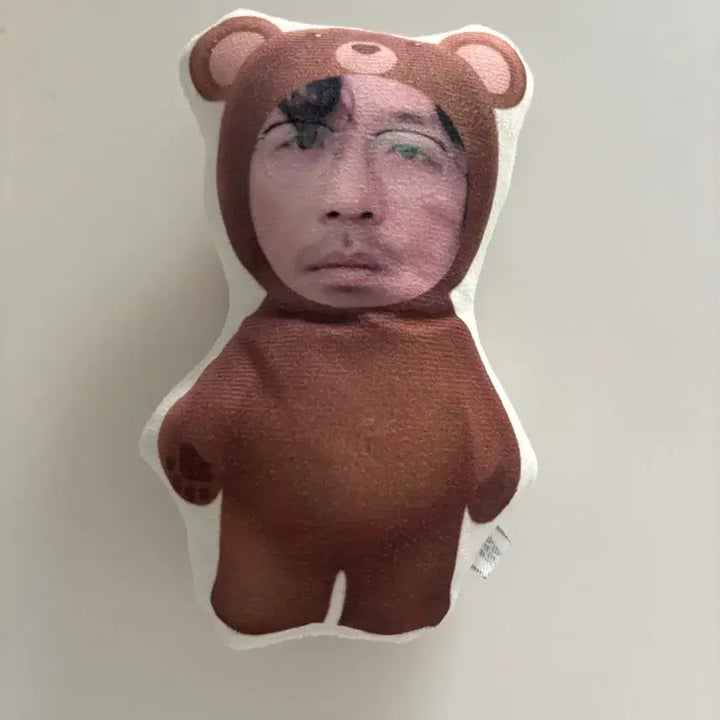 [BUNJANG] Ha Jung Woo Bear Cushion / 하정우 곰인형 쿠션