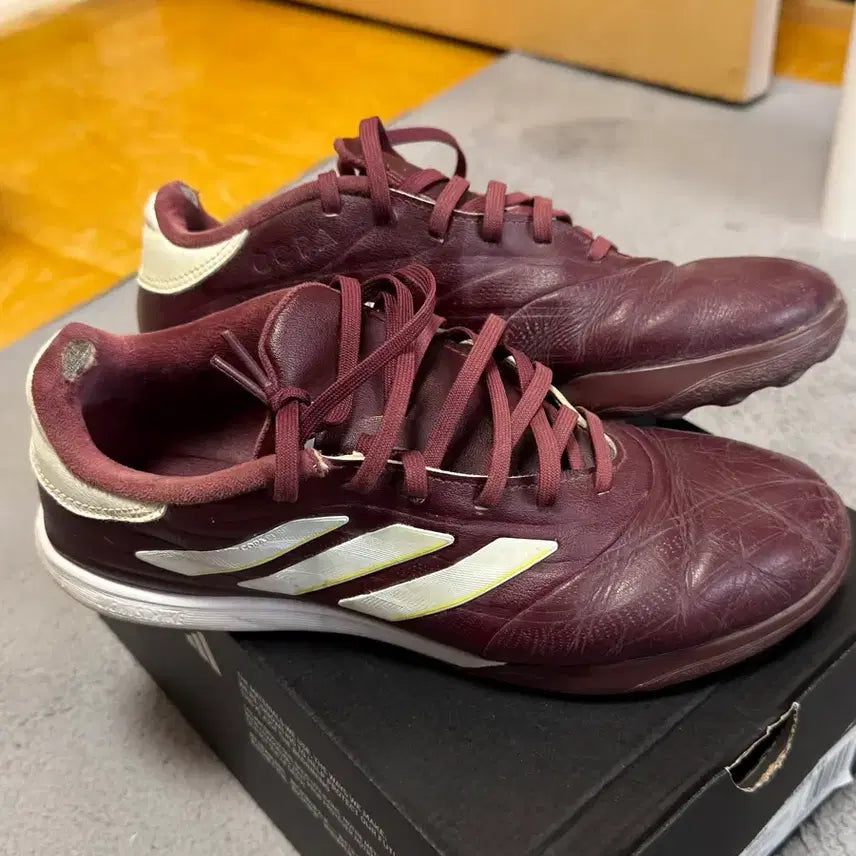 [BUNJANG] Adidas Copa Pure Futsal Shoes 250 / 아디다스 코파 퓨어 풋살화 250