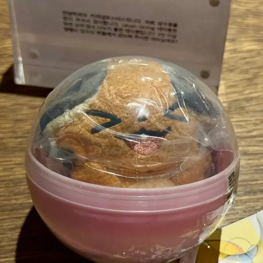 [BUNJANG] Pokemon Dedenne Charms Magnet Mascot Metamon Playground / 데덴네 포켓몬 찰싹 자석 마그넷 마스코트 메타몽 놀이터 미개봉