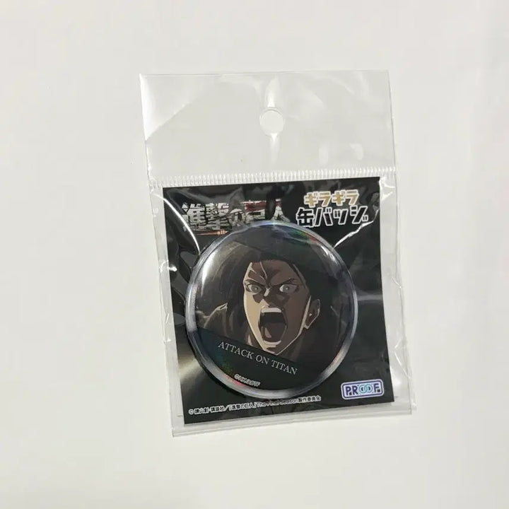 [BUNJANG] Attack on Titan Levi Can Badge / [진격의거인] 리바이 캔뱃지