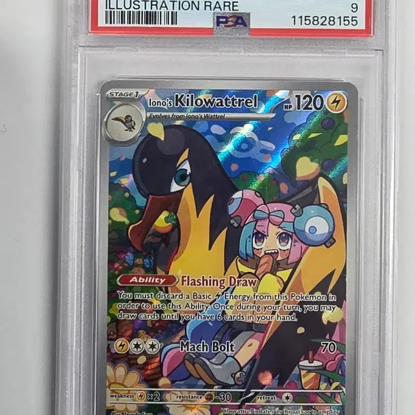 [BUNJANG] Pokemon Card Moyeamo&